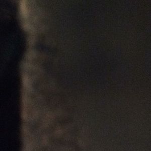 Meet your Posher, Sheila